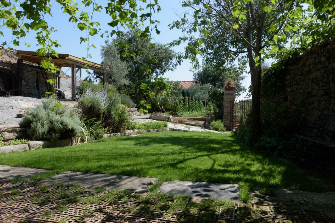 Casa Rural Caenia Grupos Traguntia Kültér fotó